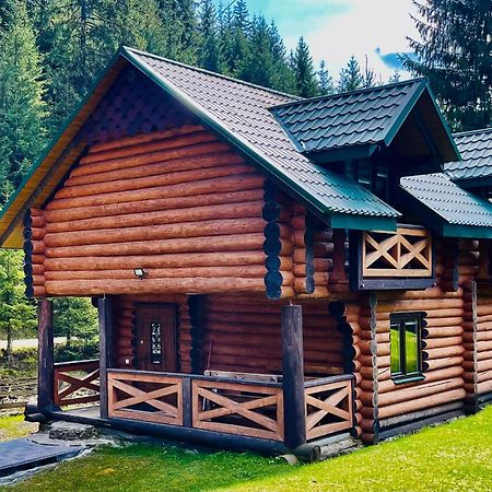 У Віти Котедж4 Synevyrs'ka Polyana Bagian luar foto