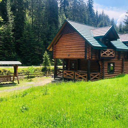 У Віти Котедж4 Synevyrs'ka Polyana Bagian luar foto
